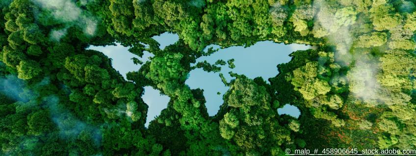 Entwaldungsverordnung: EU veröffentlicht Vereinfachungen 