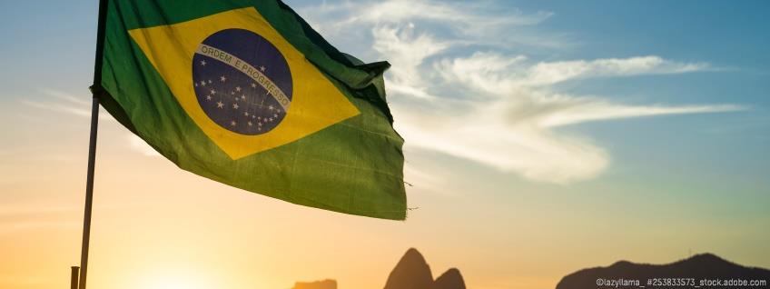 Zoll: EU aktualisiert Zollkontingente nach dem Brexit mit Brasilien