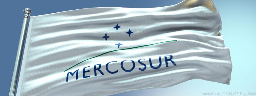 Zoll: EU bringt Mercosur Abkommen vorläufig auf den Weg