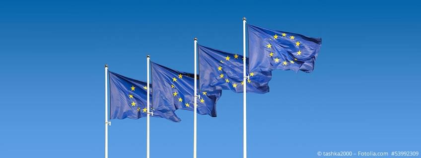 Zoll: EU führt Maßnahmen zur Bekämpfung wirtschaftlichen Zwangs ein