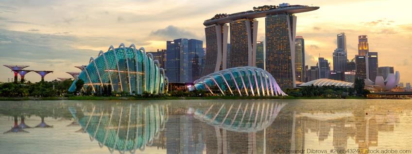 Zoll: EU-Singapur DTA startet offiziell