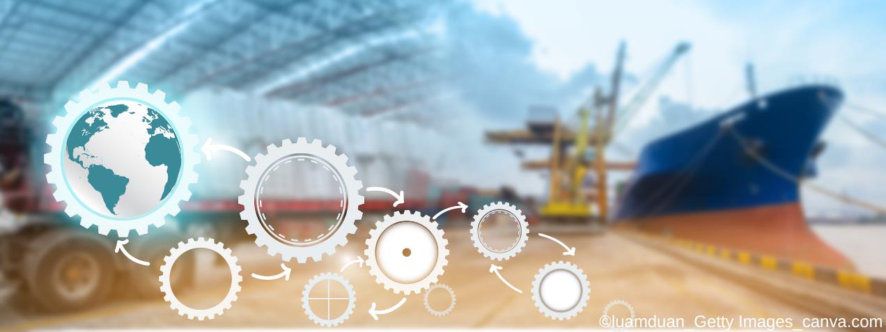 Zolltarif: WCO plant umfassende HS-Revision